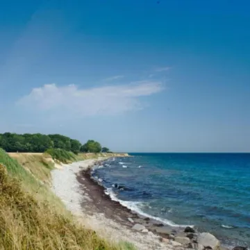 Wellness & Comfort Retreat