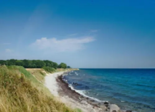 Wellness & Comfort Retreat