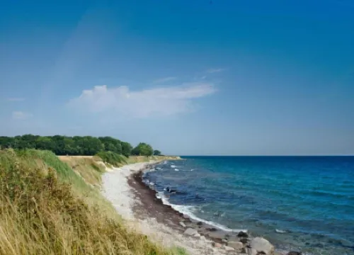 Wellness & Comfort Retreat