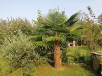 A Good Meeting Hotels in Borgo Ticino