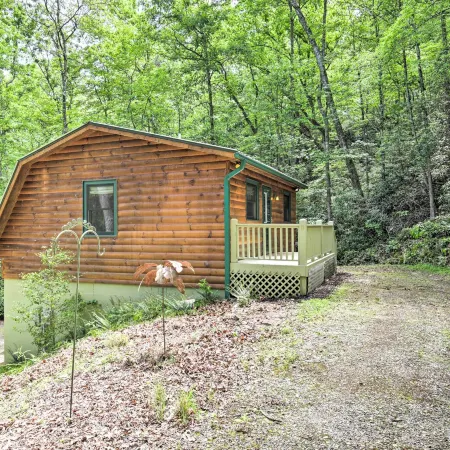 Fire Pit & Forest Views: Secluded Murphy Cabin!