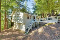 Ocean & Redwoods Views! Coastal Norcal Sanctuary - Kitchens