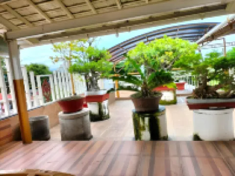 Sunflower Banyuwangi Hotel 外南夢酒店