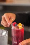 Hotel Porto Roca - bar