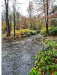 Lake George Getaway with SAUNA!
