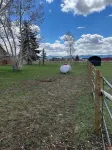 Charming 3-bedroom cabin in Victor only 25 miles from Jackson Hole, pet friendly