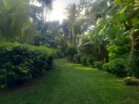 Eco Space - A peaceful villa with a lush garden Resthouse Handiya Bo Tree 주변 호텔