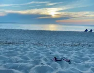 Inn The Vineyard: Secluded Waterfront Family Vacation Home in Mattituck