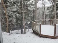 Cozy cottage by the river perfect for nature lovers & pet friendly