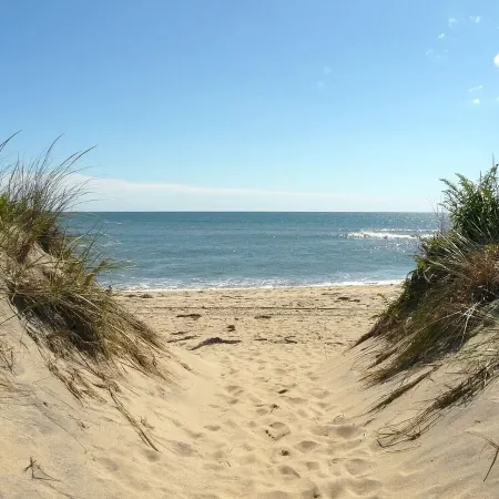 Beach Getaway - Spacious Katama Beach House