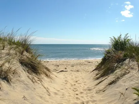 Beach Getaway - Spacious Katama Beach House