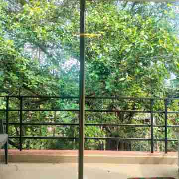 The Banyan Retreat Others