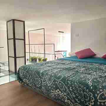 Loreto Bue House - Style and Comfort in Milan, ideal for business or vacation Rooms