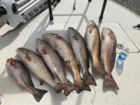 Spacious lodge with 6 bedrooms, 7 baths, WiFi and A/C Fishing charters available