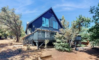 Moonridge Alameda #570