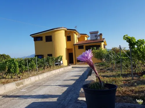 Beautiful villa in the middle vineyard. Hotels in Magomadas