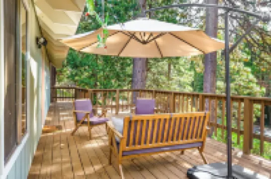 Forest Cabin w/Fireplaces + Kids Sledding Hill!