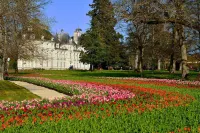 Grande Maison de Bourg 12 Couchages à 700m du Château de Cheverny Hotels in Cour-Cheverny