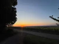 Panorama 180° - Wifi