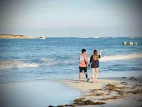 Mont Vernon Top Secret: Studio Chic sur la Plage! Magnifique et Grande Piscine!