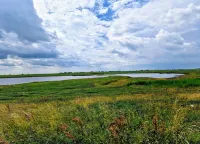 네세의 페리엔보눙