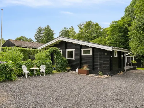 "Araminta" - 800m from the sea