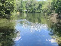Peaceful Cabin By The Lake