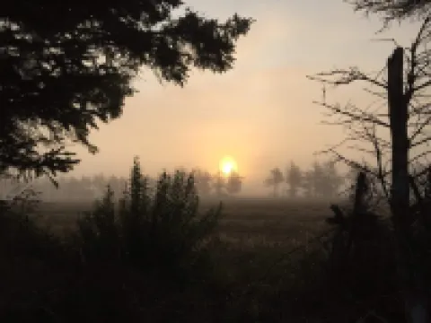 Charming Seaside Cottage - by Traum Ferienwohnungen Hotels in Ulfborg