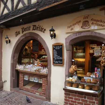 Apartment in Riquewihr near Vineyards