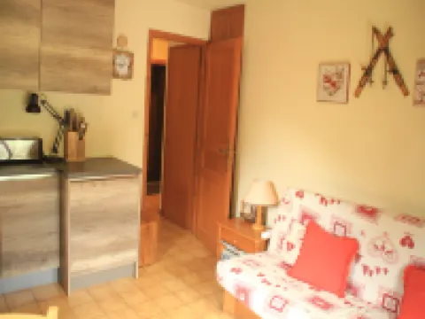 Apartment in Chatel with ski-locker