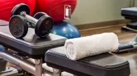 Holiday Inn Express & Suites DETROIT - FARMINGTON HILLS by IHG - Gym