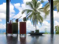 Villa Borobudur Resort - bar