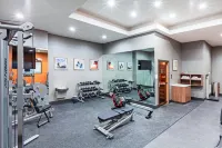 Holiday Inn LUBBOCK SOUTH by IHG