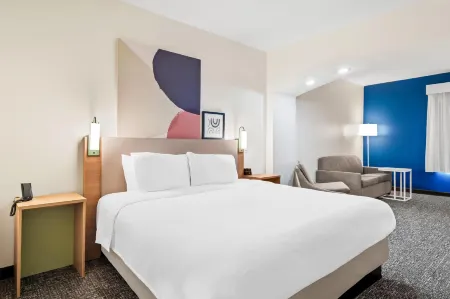 Spark by Hilton Kingsland