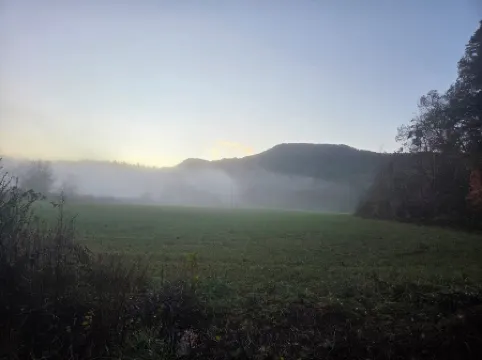 The Harmony Cabin A cozy one bedroom cabin!