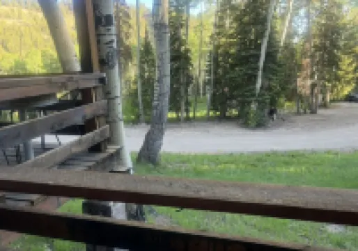 We Offer an Allergy Free Environment. No Pets. No Smoking or Vaping.