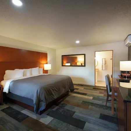 Shelton Inn