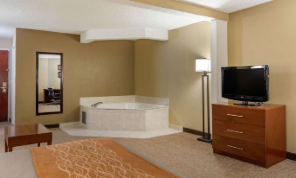 Comfort Inn & Suites Suwanee - Sugarloaf