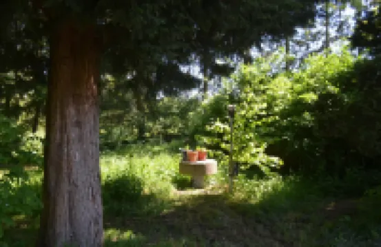 上層樓的度假公寓，霍姆貝格