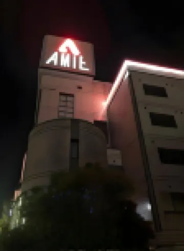 호텔 엑스셀 아미에