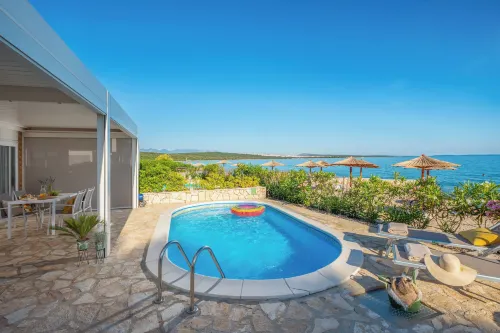 Terra Park Phalaris - Ocean View