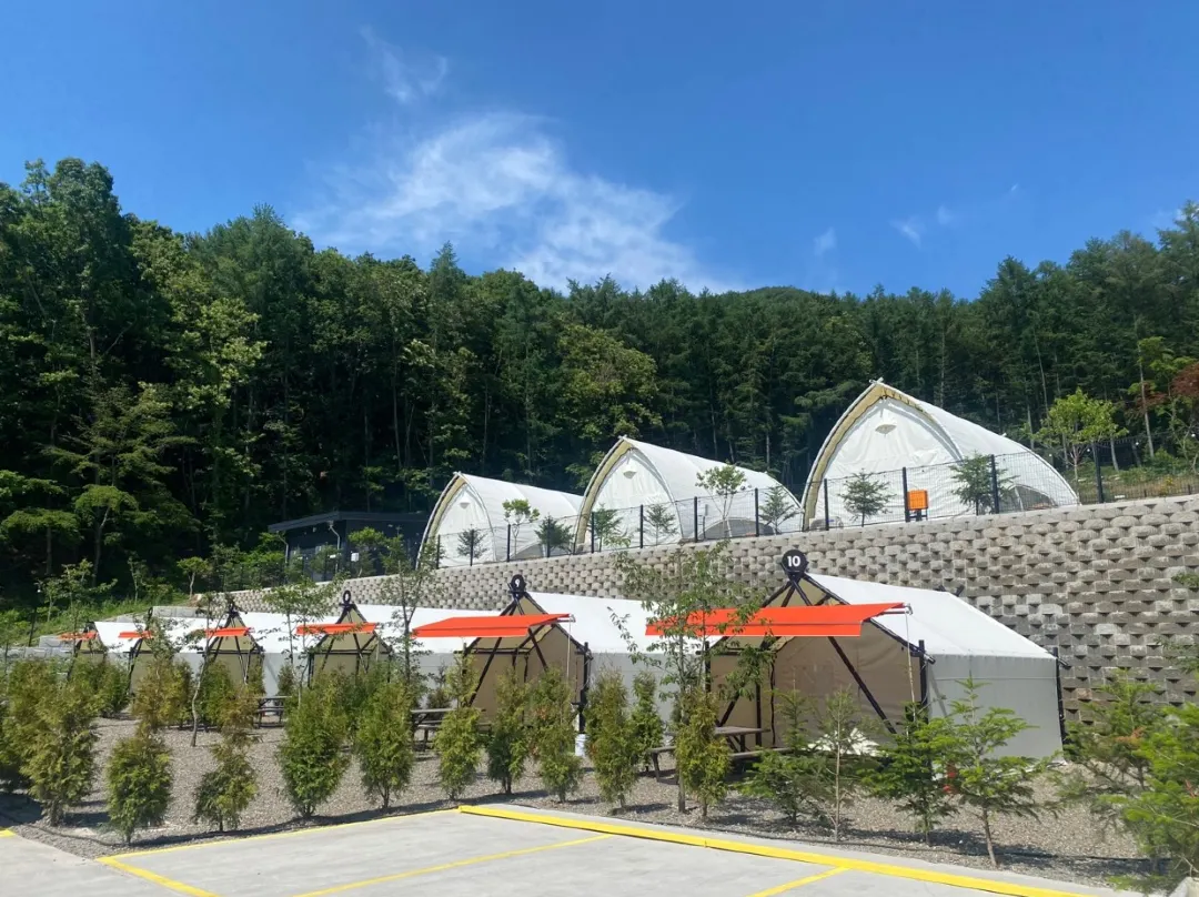 Pocheon Coco Forest Bbq & Glamping - Seul