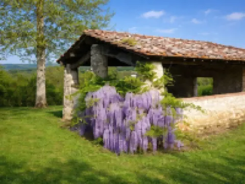 Fattoria Agriturismo Nerbona Hotels in Colle di Val d'Elsa