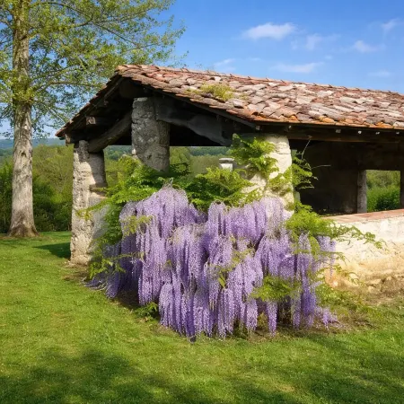 Fattoria Agriturismo Nerbona