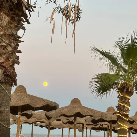 Beach Club Ippocampo