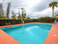 Quality Inn & Suites Live Oak I-10 Exit 283 Hotels in Suwannee County