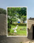 Arise Rustic Village Resort