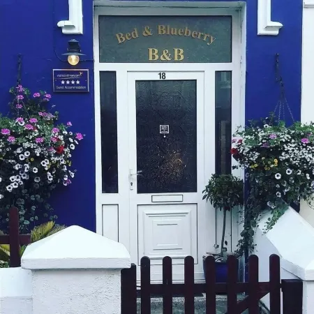 Bed and Blueberry Two Bed Suite for 2,3, 4 People Own Facilities