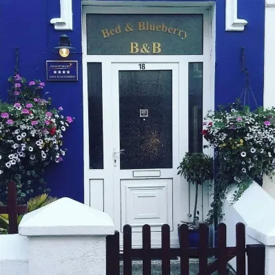 Bed and Blueberry Two Bed Suite for 2,3, 4 People Own Facilities - 4-Star