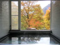 四季彩旅館度假村 - 溫泉